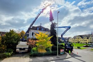 6e14c317-d442-45d3-9b54-ff0d9730db4b